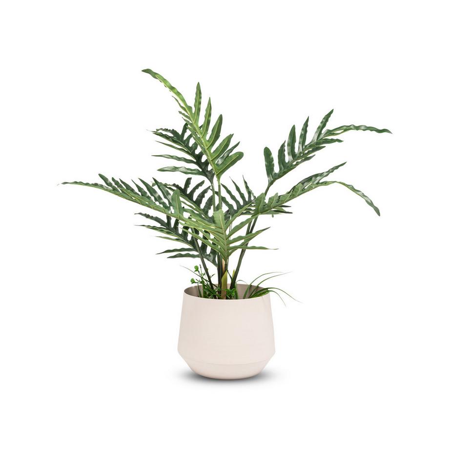 Manor Coprivaso Corila 