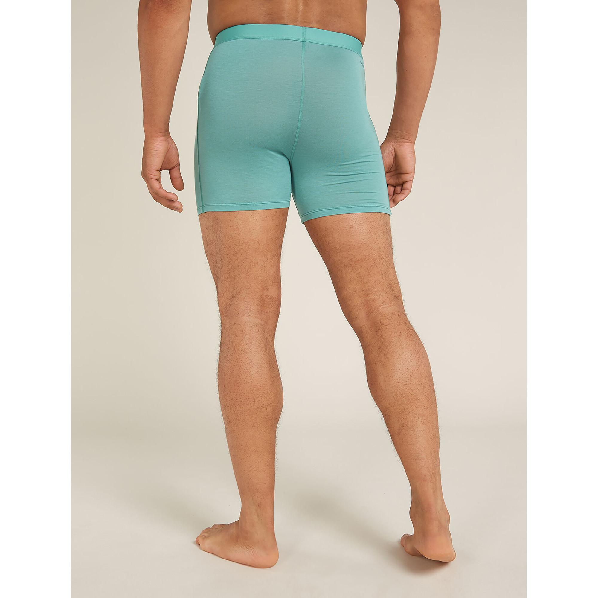 Icebreaker Merino  Core Boxers Boxer 