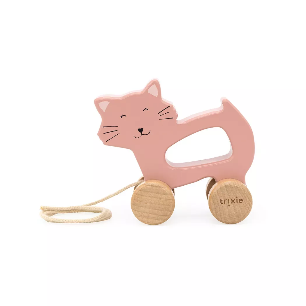 Jeu d'activité Trixie 3