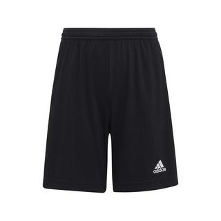 adidas  Pantaloncini 