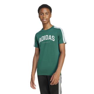 adidas  T-shirt 