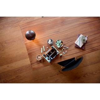 LEGO®  10334 Radio vintage 