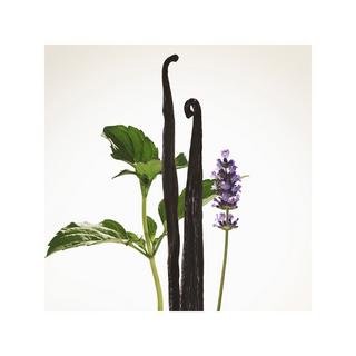 BURBERRY Goddess Eau de Parfum Intense  