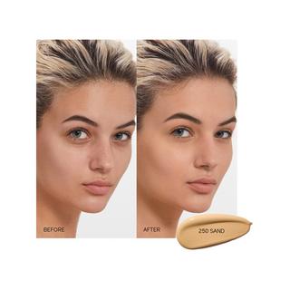 SHISEIDO Synchro Skin Self Refreshing Foundation 