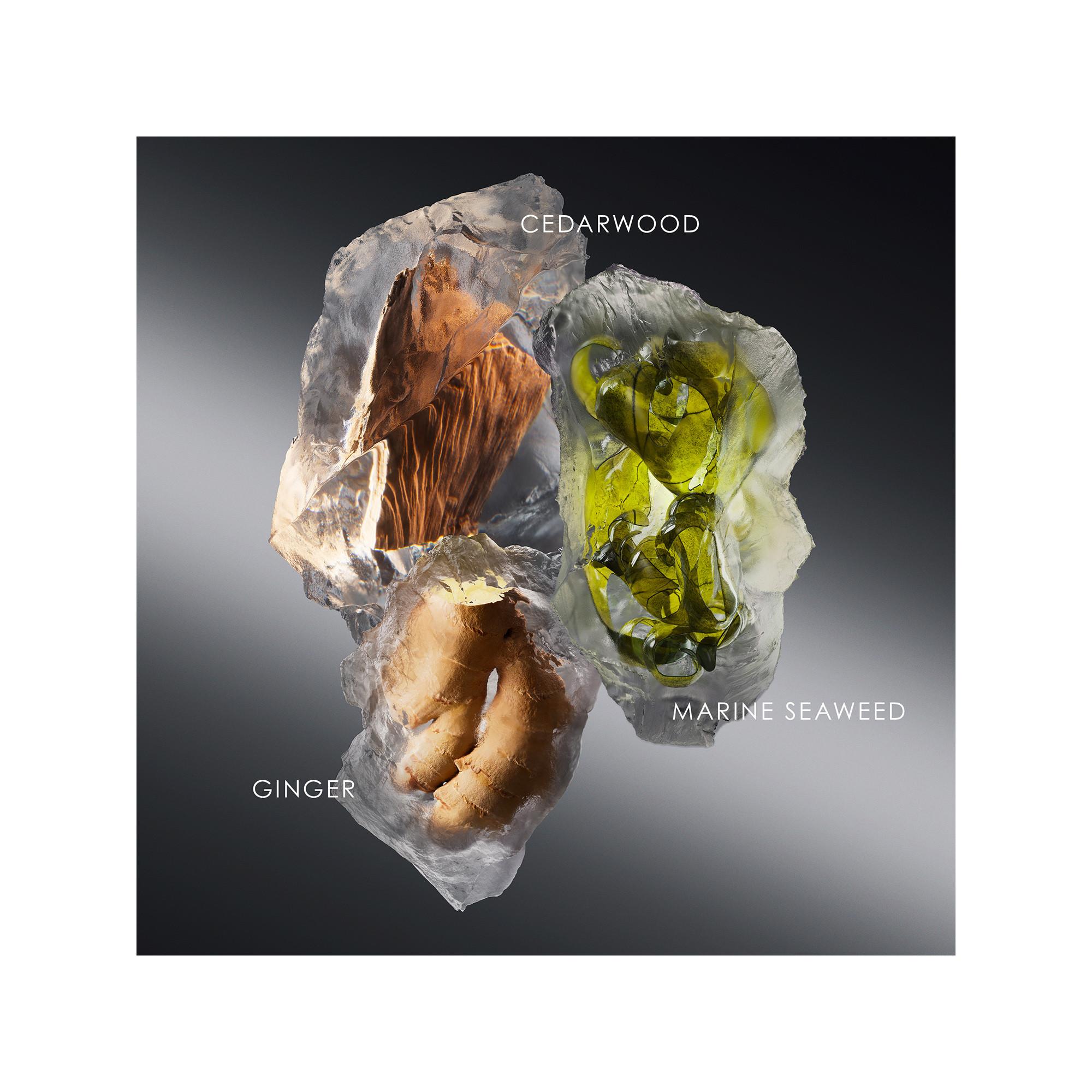 ISSEY MIYAKE Le Sel d'Issey Eau de Toilette  