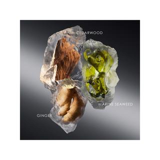 ISSEY MIYAKE Le Sel d'Issey Eau de Toilette Refill  