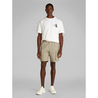 Calvin Klein Jeans WASHED CARGO SHORT Short cargo 