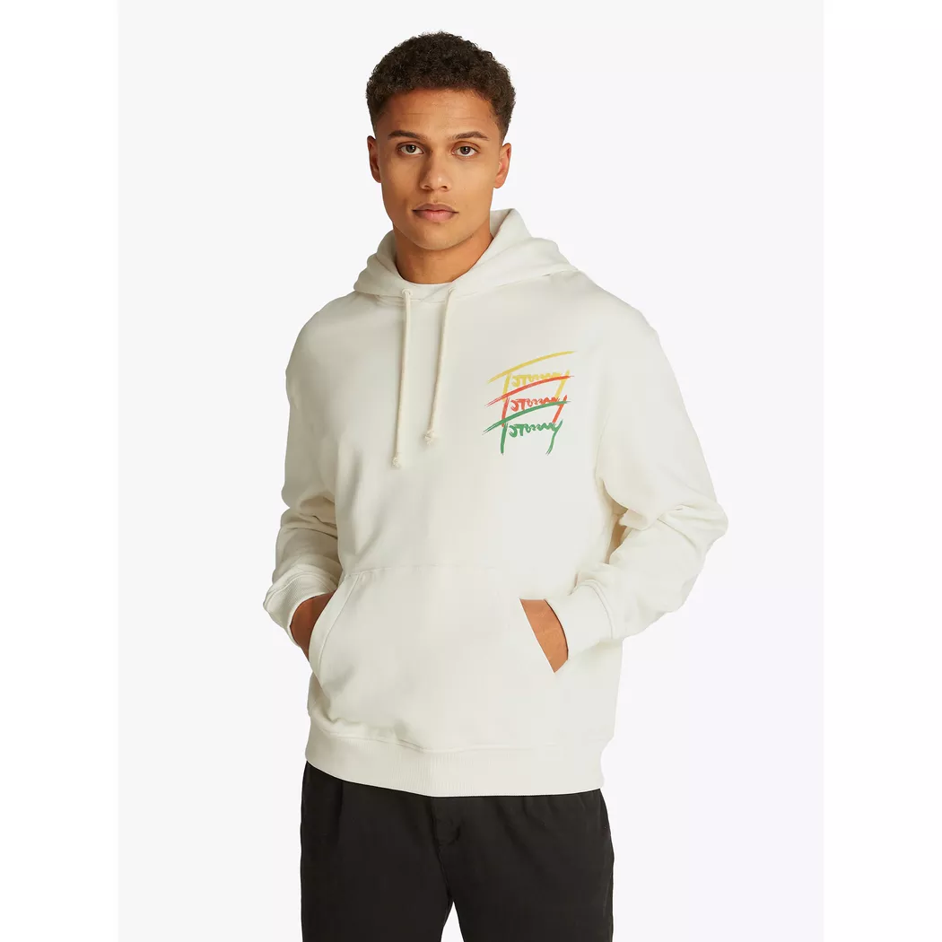 Tommy Jeans Sweat à Capuche Dm0dm20738 White 2XL Homme 3