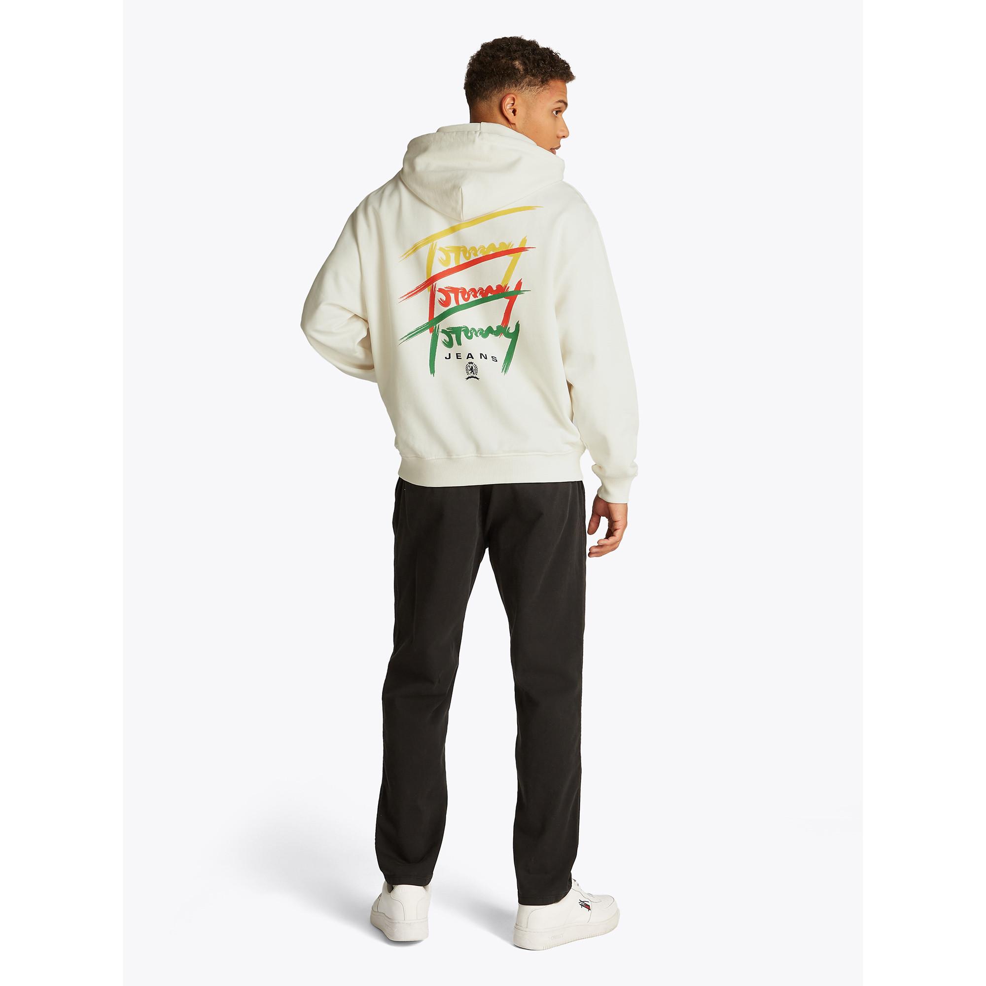 TOMMY JEANS TJM RLX 3 COLOR SIGNATURE HOODIE Hoodie 