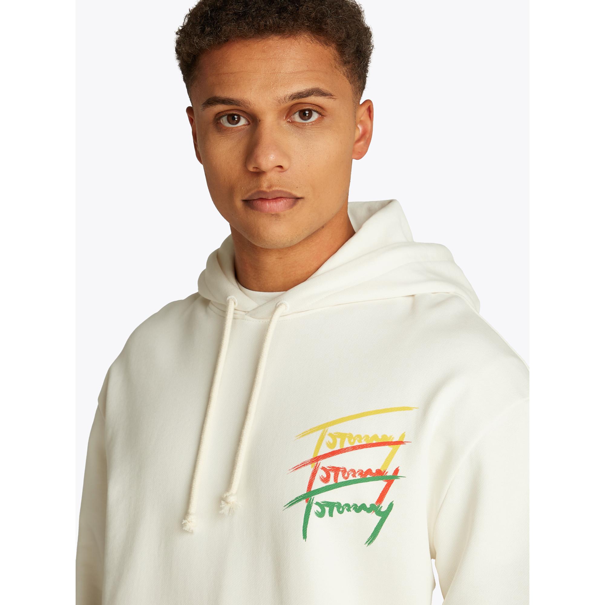 TOMMY JEANS TJM RLX 3 COLOR SIGNATURE HOODIE Hoodie 