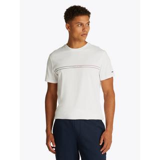 TOMMY JEANS TJM SLIM ENTRY GRAPHIC TEE EXT T-shirt 