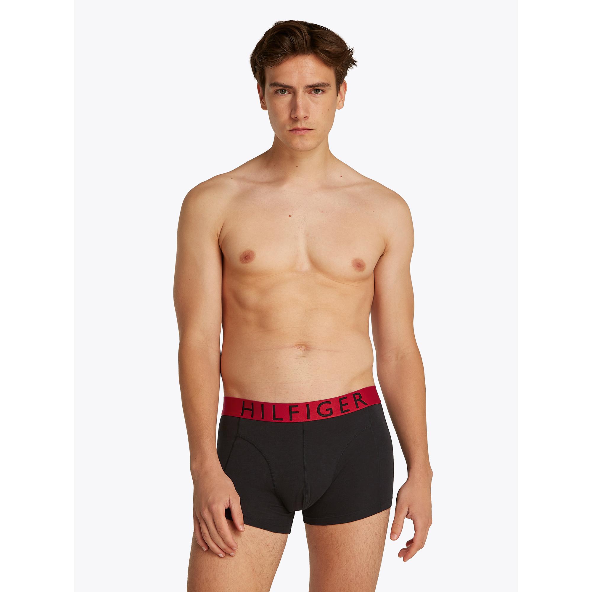 TOMMY HILFIGER 3P TRUNK WB Boxer Briefs Multipack  