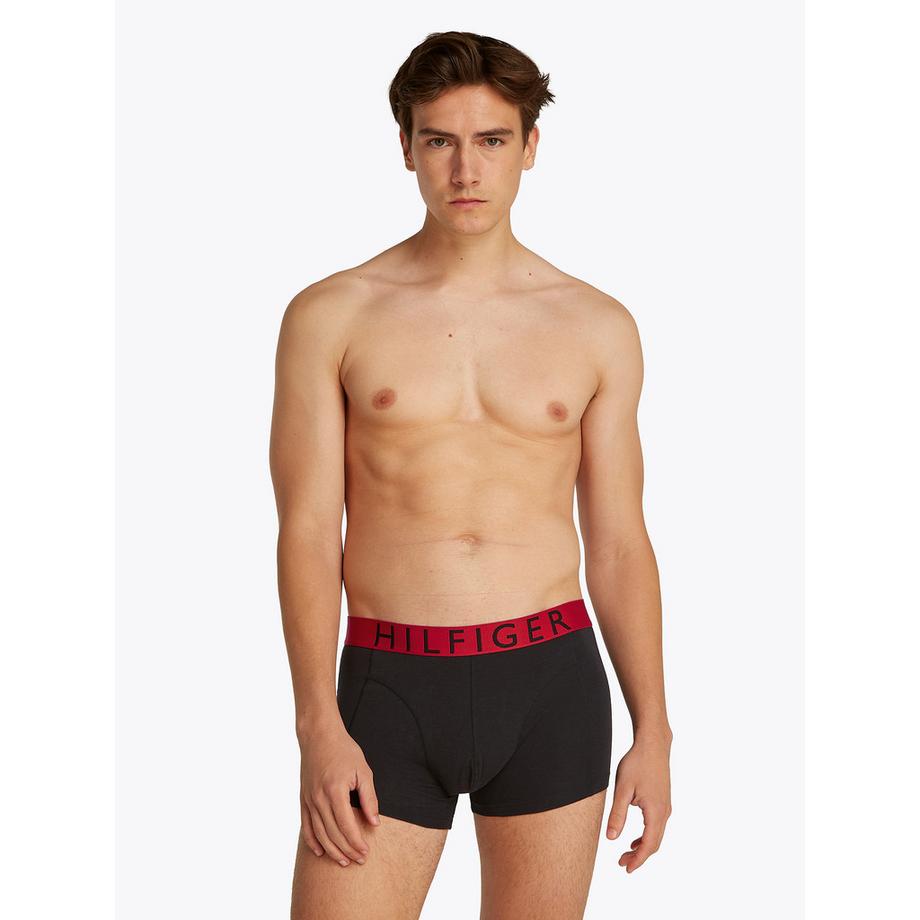 TOMMY HILFIGER 3P TRUNK WB Boxer Briefs Multipack  