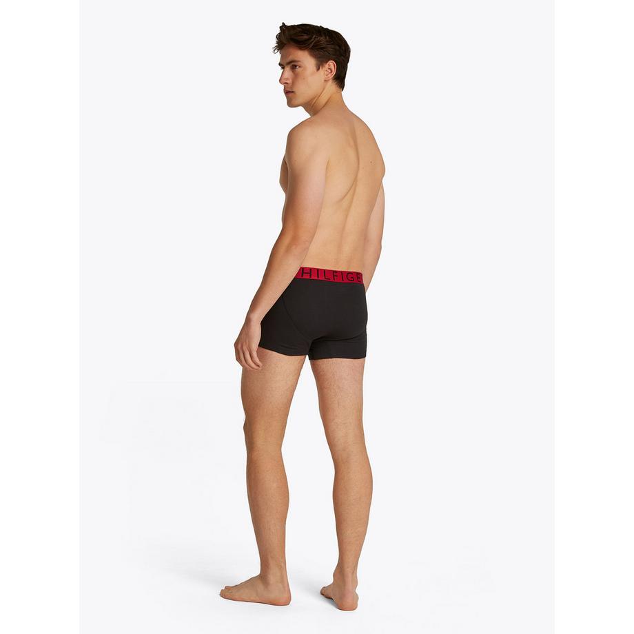 TOMMY HILFIGER 3P TRUNK WB Boxer Briefs Multipack  