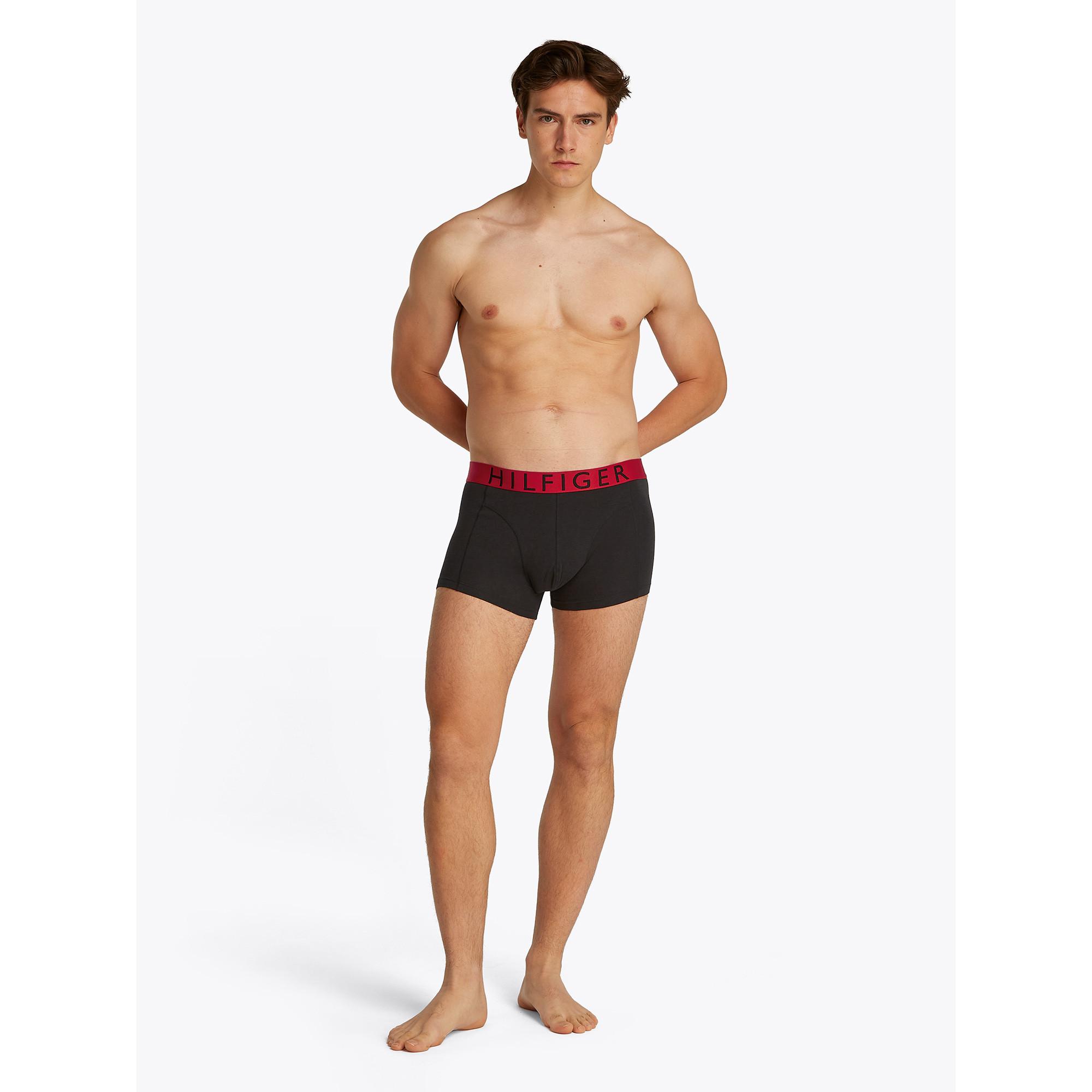 TOMMY HILFIGER 3P TRUNK WB Boxer Briefs Multipack  