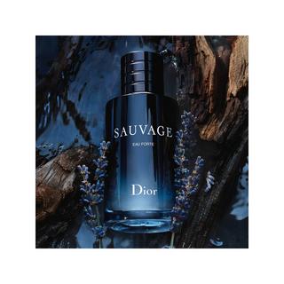 Dior Sauvage Eau Forte 