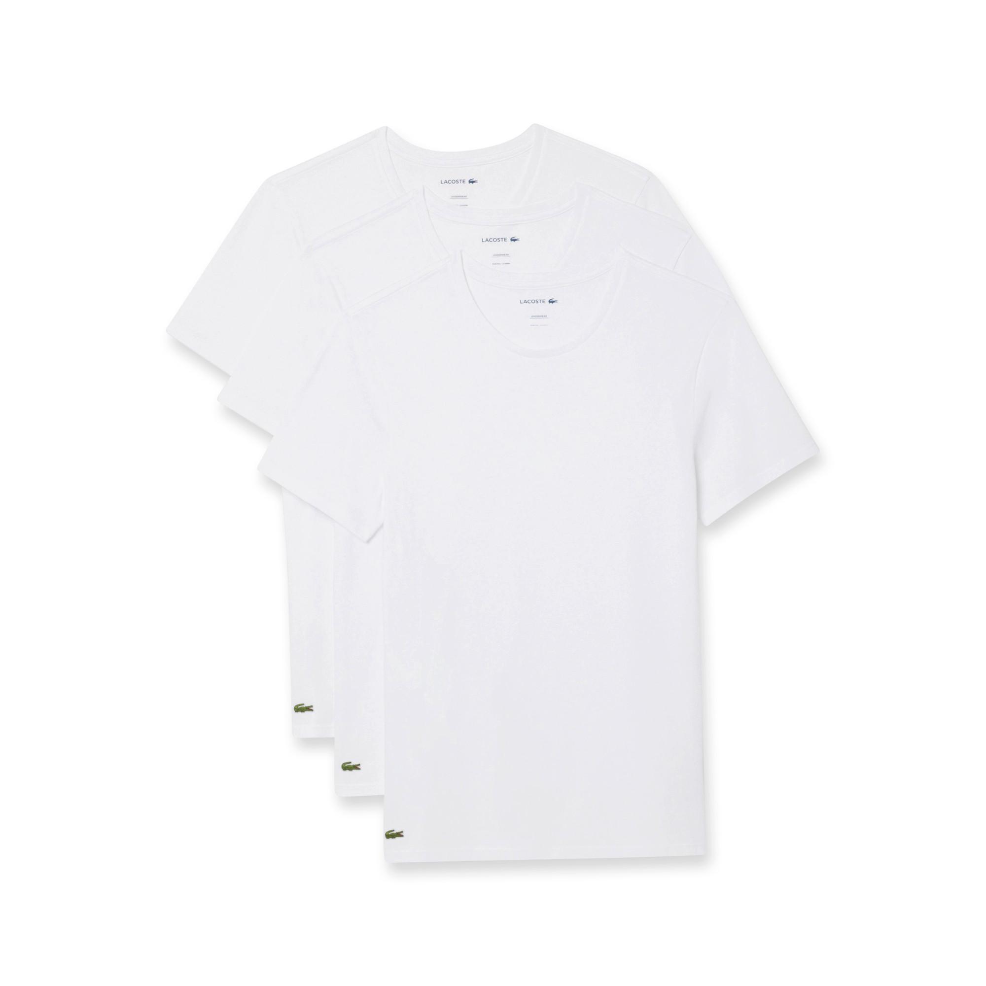 LACOSTE  T-shirt 