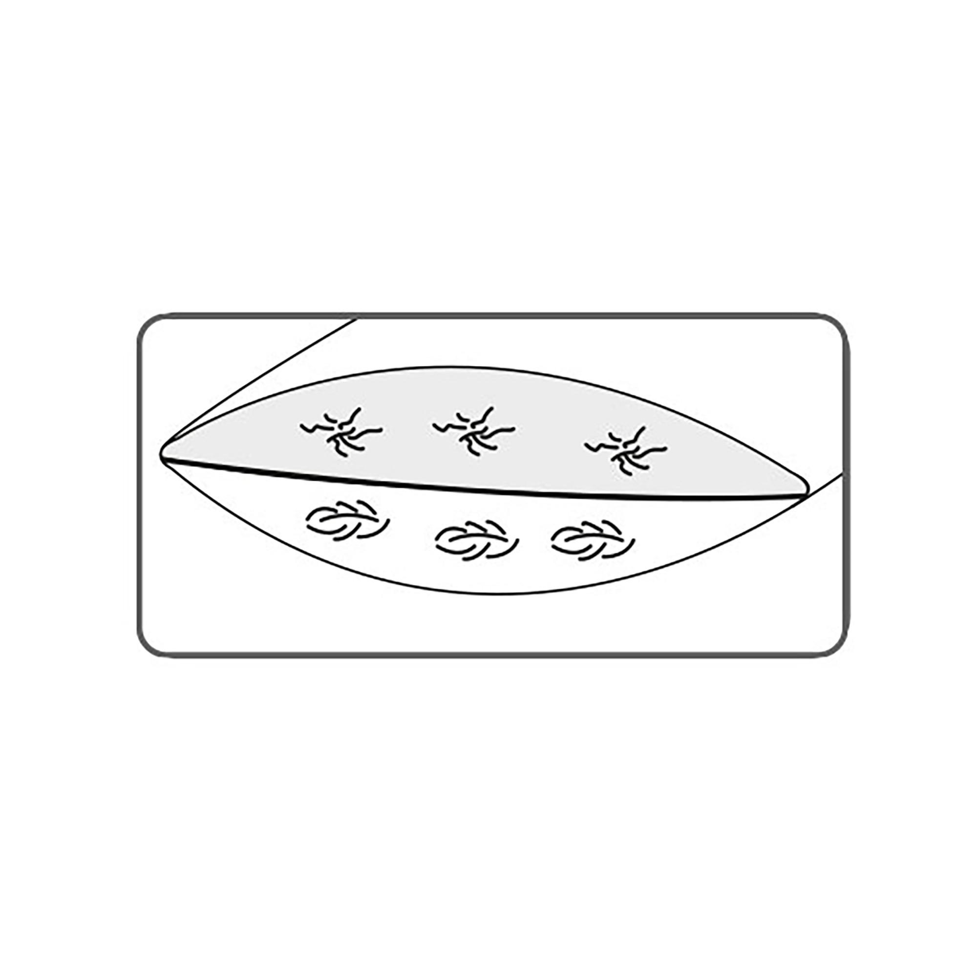 DOR Calypso Cuscino a due camere  