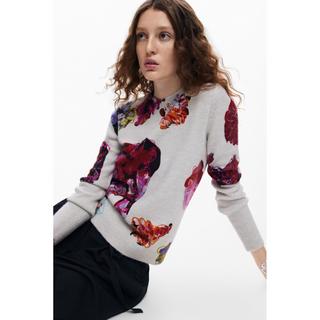 Desigual  Pullover 