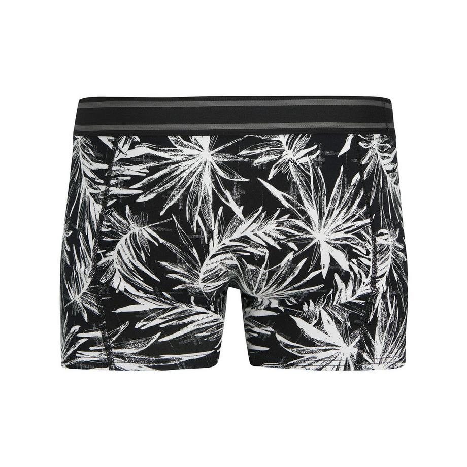 JACK & JONES JACRICHARD TRUNKS 3 PACK Lot de 2 boxers 