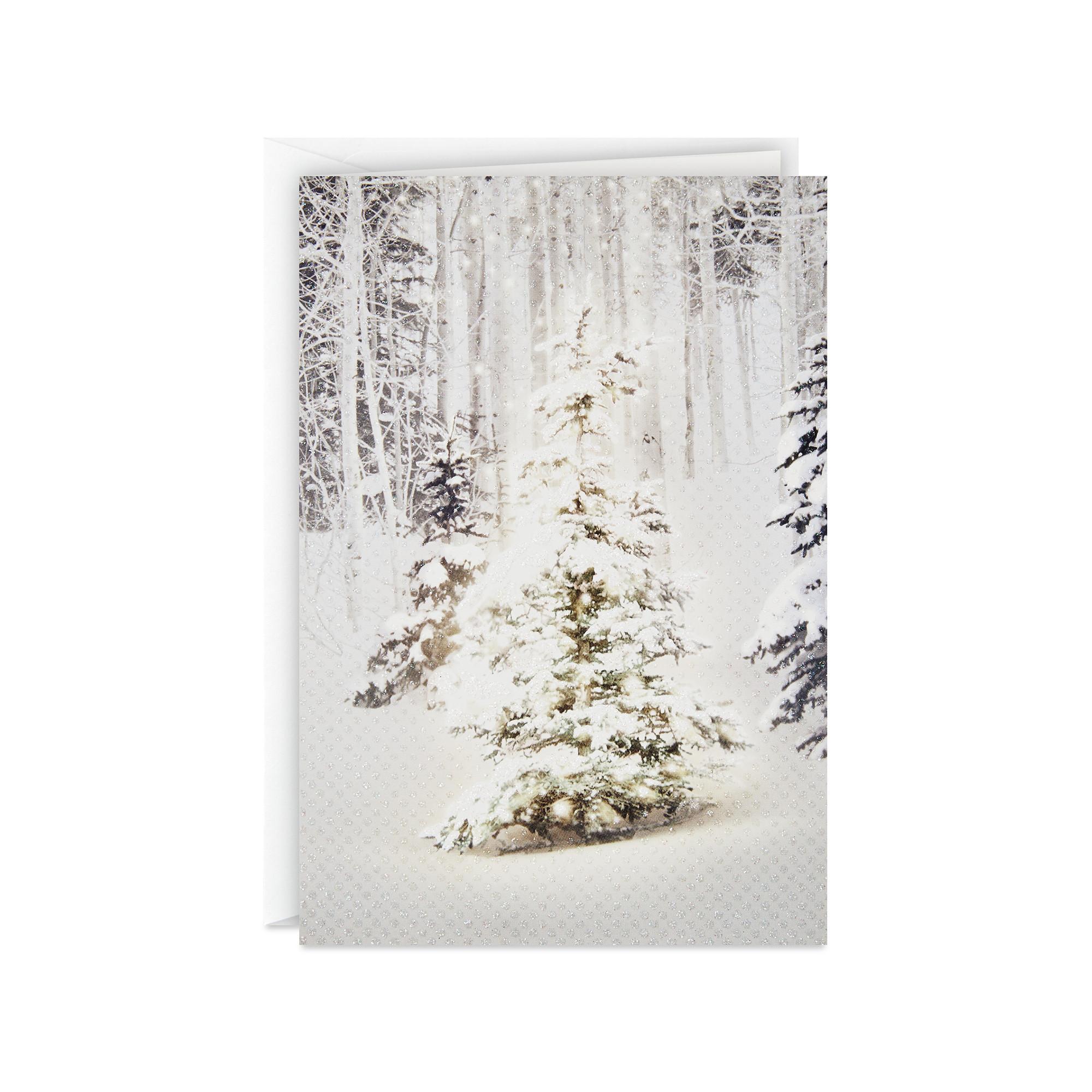 Hallmark Carte auguri Natale Winter fir 