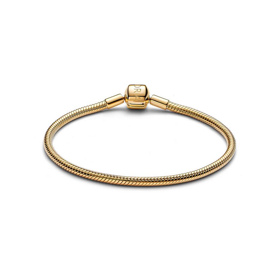 PANDORA Pandora Moments Armband 