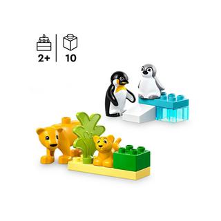 LEGO®  10442 Familles d’animaux sauvages : pingouins et lions 