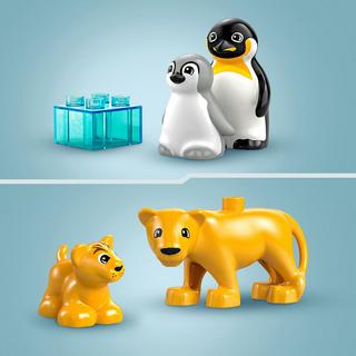 LEGO®  10442 Familles d’animaux sauvages : pingouins et lions 