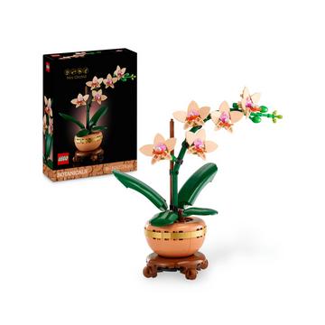 10343 Mini-Orchidee