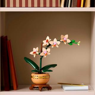 LEGO®  10343 Mini-Orchidee 