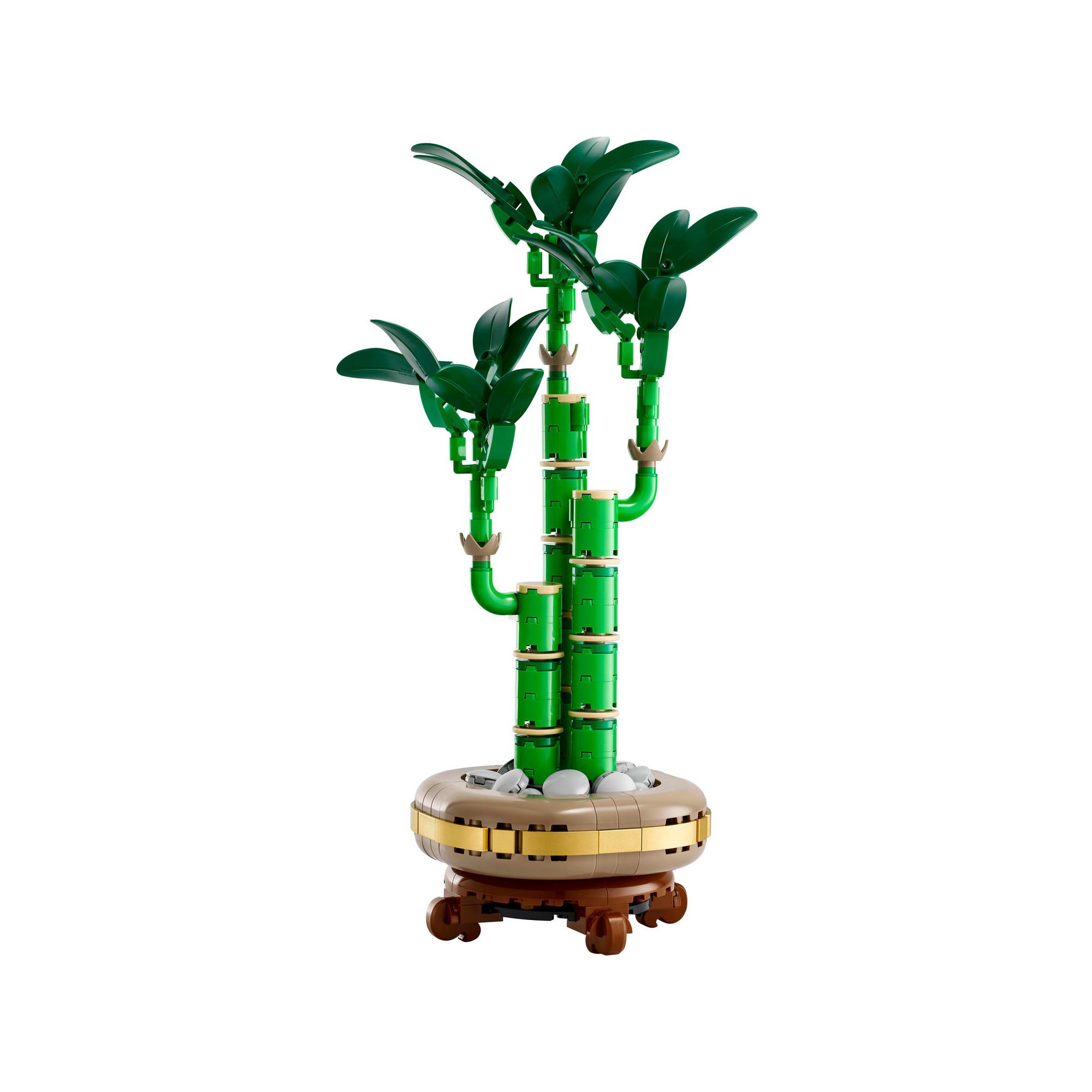 LEGO®  10344 Bambù del buon auspicio 