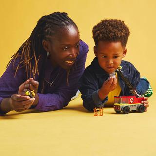 LEGO®  60463 Camion de pompiers avec échelle 