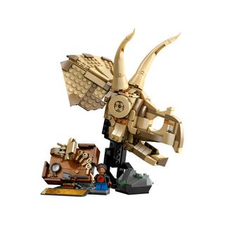 LEGO®  76969 Dinosaurier-Fossilien: Triceratops-Schädel 