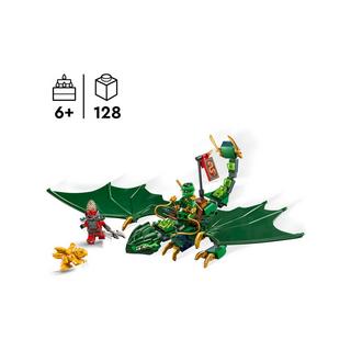 LEGO®  71829 Le dragon vert 