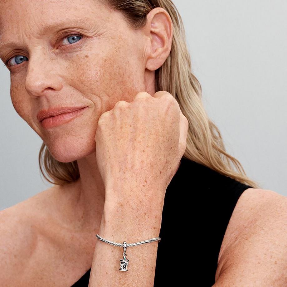 PANDORA Pandora Moments Charm 