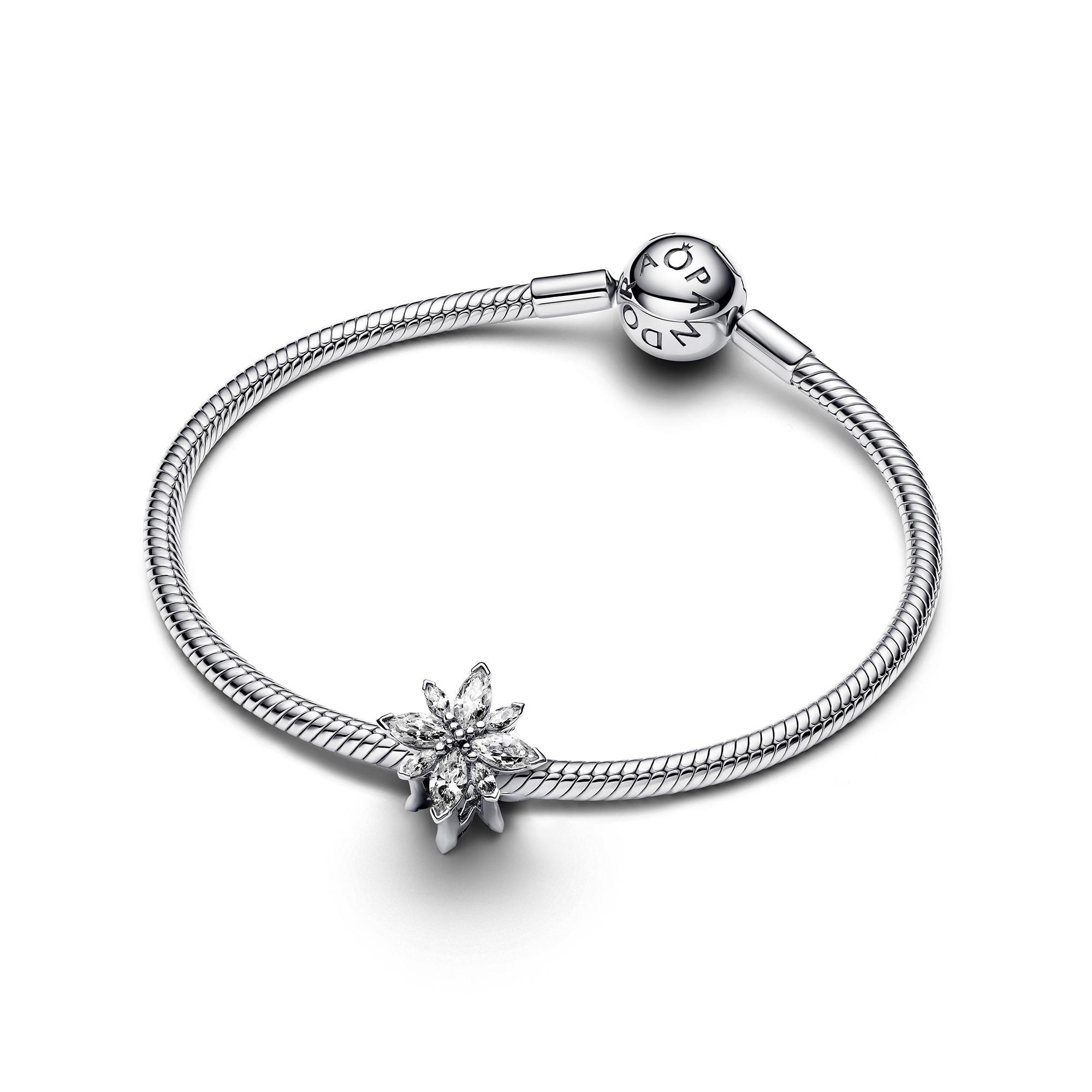 PANDORA Pandora Moments Charm 