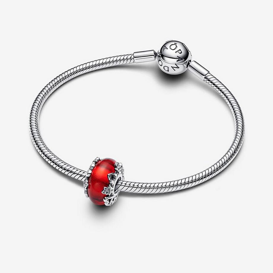 PANDORA Pandora Moments Charm 