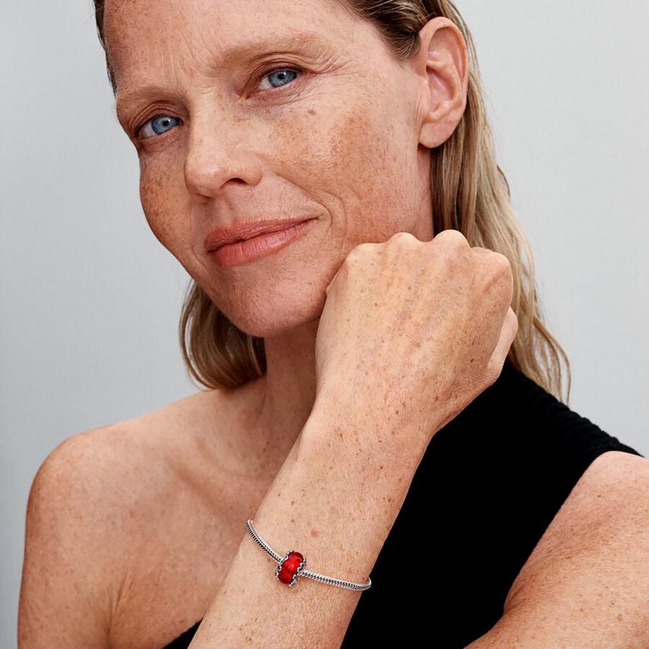 PANDORA Pandora Moments Charm 