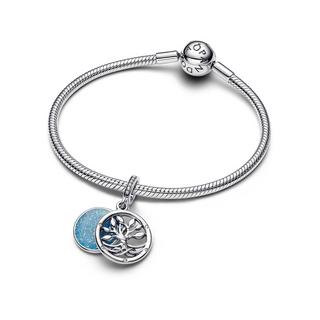 PANDORA Pandora Moments Charm 