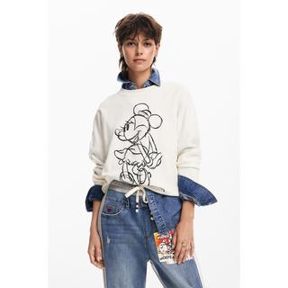 Desigual  Pullover 