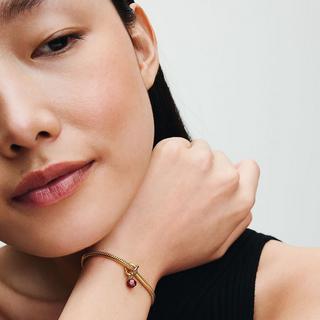 PANDORA Pandora Moments Charm 