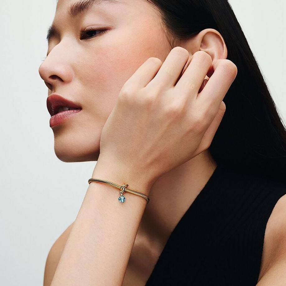 PANDORA Pandora Moments Charm 