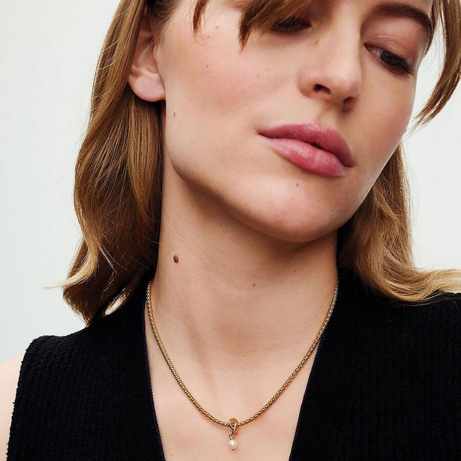 PANDORA Pandora Moments Charm 