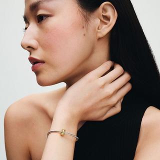 PANDORA Pandora Moments Charm 