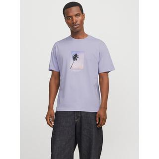 JACK & JONES JORVESTERBRO PICTURE TEE SS CREW NECK LN T-shirt 