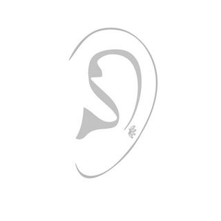 Studio Marquise  Piercing 