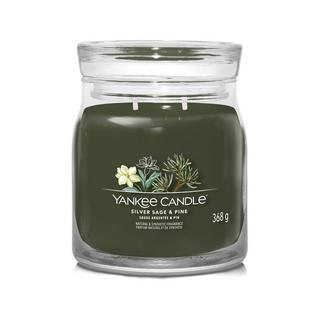 YANKEE CANDLE Duftkerze im Glas Silver Sage & Pine 