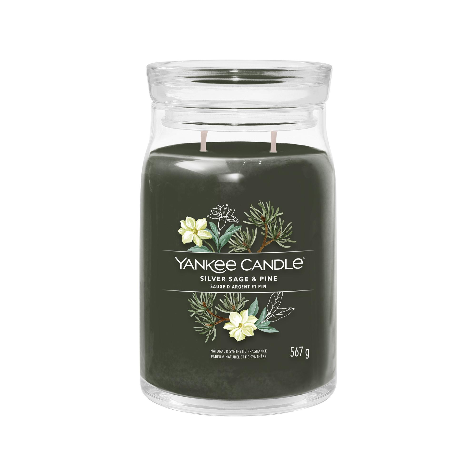 YANKEE CANDLE Bougie parfumée en verre Silver Sage & Pine 