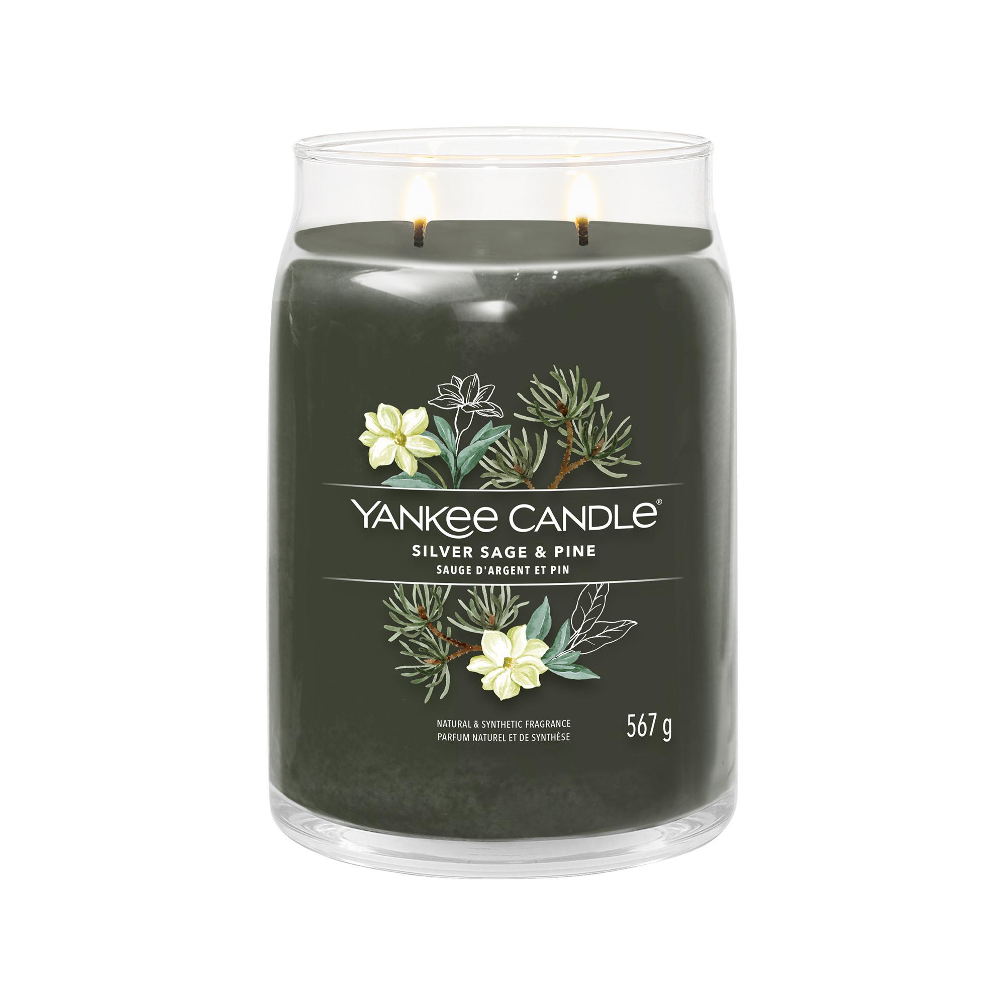 YANKEE CANDLE Bougie parfumée en verre Silver Sage & Pine 