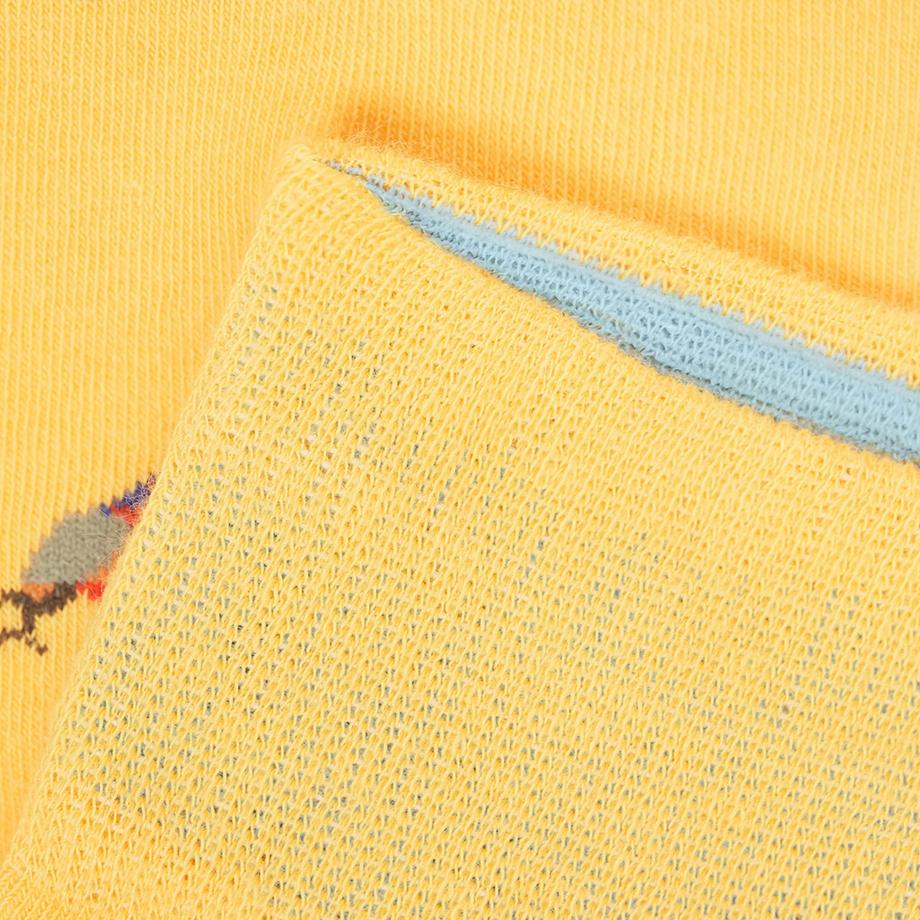 von Jungfeld Moth Calze Fantasia  